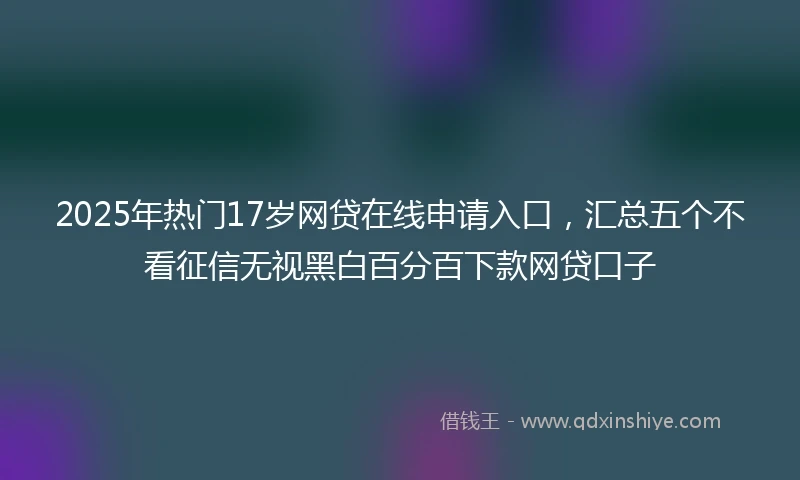 2025年热门17岁网贷在线申请入口，汇总五个不看征信无视黑白百分百下款网贷口子