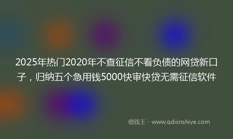 2025年热门2020年不查征信不看负债的网贷新口子，归纳五个急用钱5000快审快贷无需征信软件