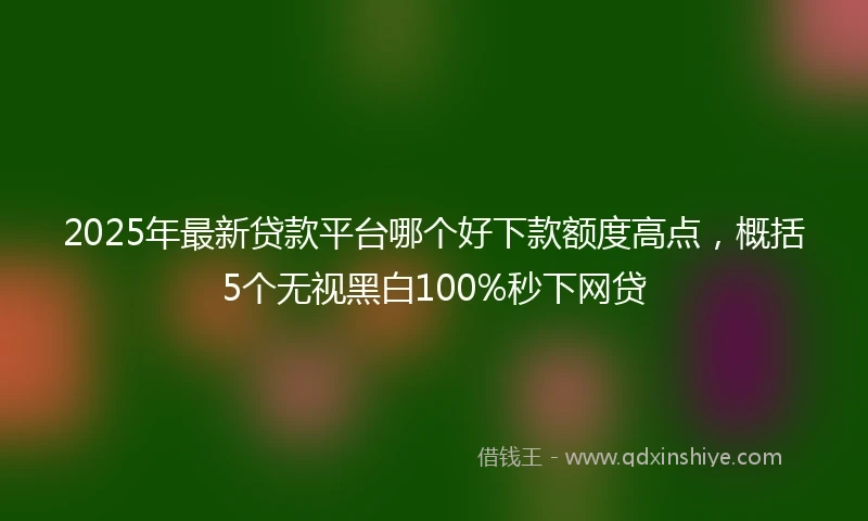 2025年最新贷款平台哪个好下款额度高点，概括5个无视黑白100%秒下网贷