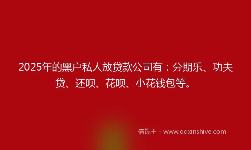 2025年的黑户私人放贷款公司有：分期乐、功夫贷、还呗、花呗、小花钱包等。