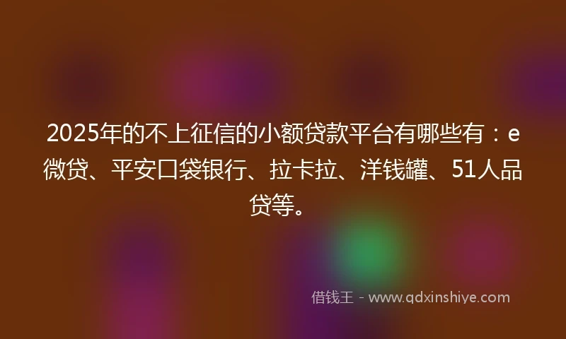 2025年的不上征信的小额贷款平台有哪些有：e微贷、平安口袋银行、拉卡拉、洋钱罐、51人品贷等。