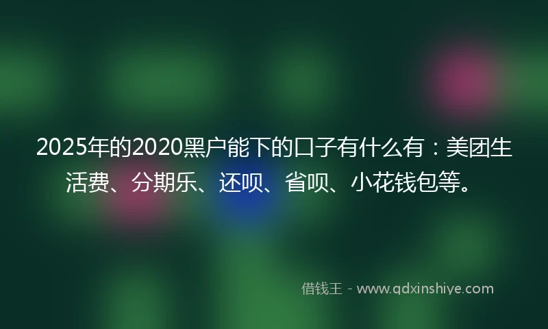 2025年的2020黑户能下的口子有什么有：美团生活费、分期乐、还呗、省呗、小花钱包等。