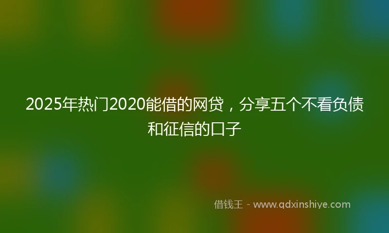2025年热门2020能借的网贷，分享五个不看负债和征信的口子
