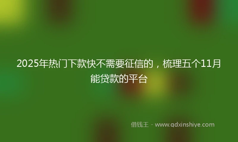 2025年热门下款快不需要征信的，梳理五个11月能贷款的平台