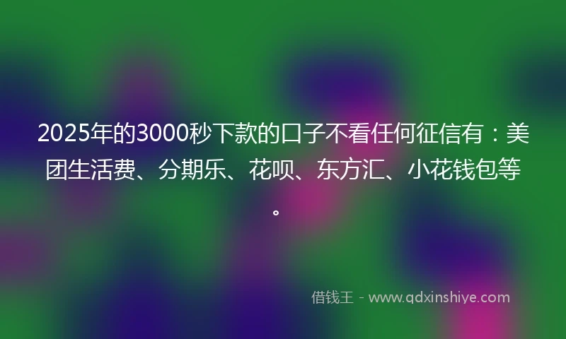 2025年的3000秒下款的口子不看任何征信有：美团生活费、分期乐、花呗、东方汇、小花钱包等。
