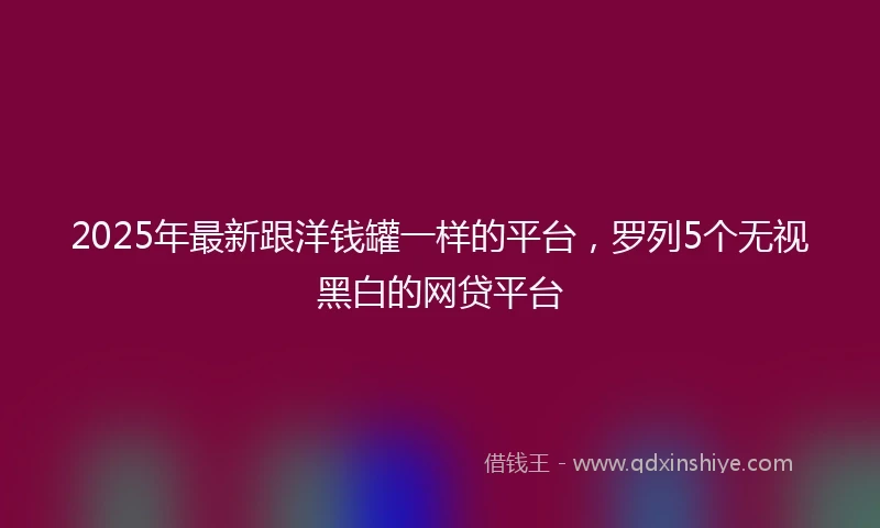 2025年最新跟洋钱罐一样的平台，罗列5个无视黑白的网贷平台