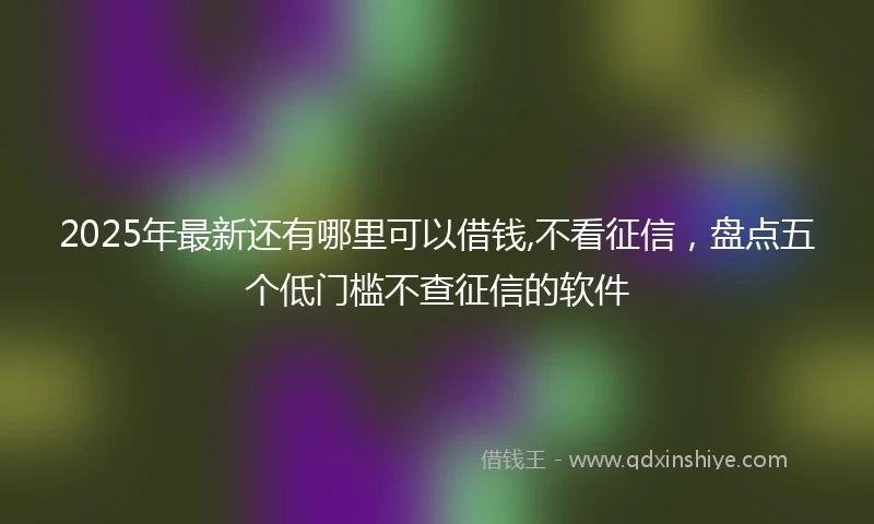 2025年最新还有哪里可以借钱,不看征信，盘点五个低门槛不查征信的软件
