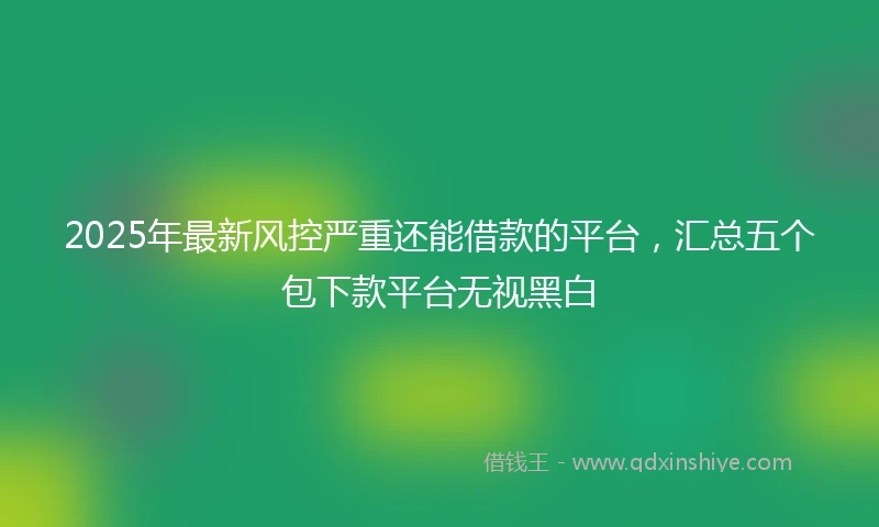 2025年最新风控严重还能借款的平台，汇总五个包下款平台无视黑白