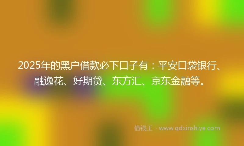 2025年的黑户借款必下口子有：平安口袋银行、融逸花、好期贷、东方汇、京东金融等。