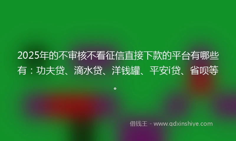 2025年的不审核不看征信直接下款的平台有哪些有：功夫贷、滴水贷、洋钱罐、平安i贷、省呗等。