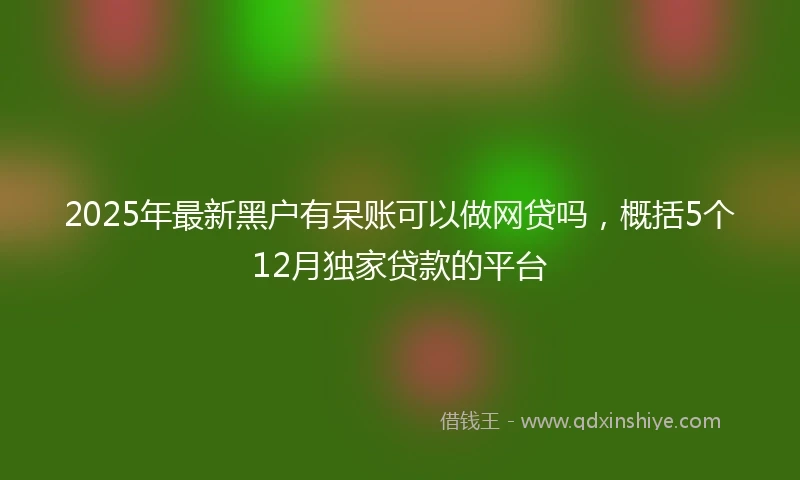 2025年最新黑户有呆账可以做网贷吗，概括5个12月独家贷款的平台