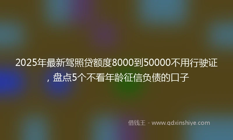2025年最新驾照贷额度8000到50000不用行驶证，盘点5个不看年龄征信负债的口子