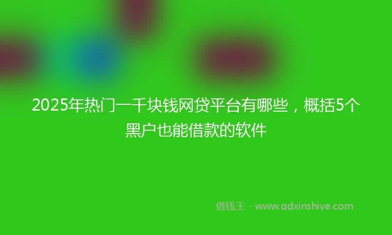 2025年热门一千块钱网贷平台有哪些，概括5个黑户也能借款的软件