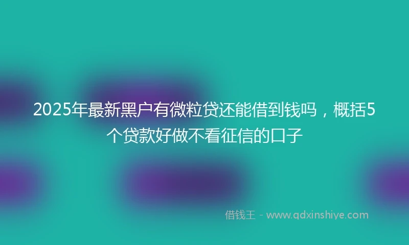 2025年最新黑户有微粒贷还能借到钱吗，概括5个贷款好做不看征信的口子