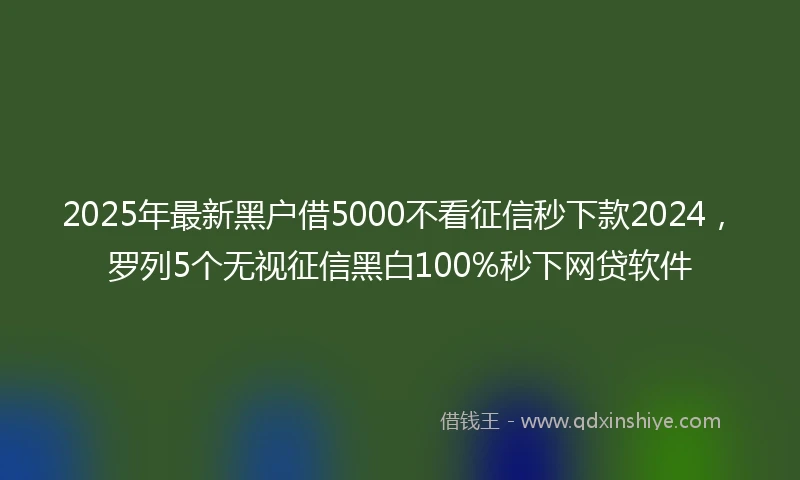 2025年最新黑户借5000不看征信秒下款2024，罗列5个无视征信黑白100%秒下网贷软件