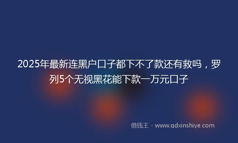 2025年最新连黑户口子都下不了款还有救吗，罗列5个无视黑花能下款一万元口子