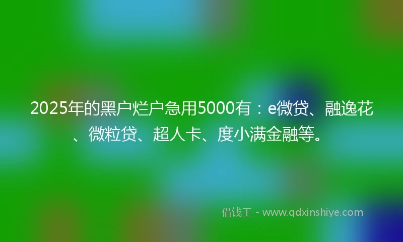 2025年的黑户烂户急用5000有：e微贷、融逸花、微粒贷、超人卡、度小满金融等。