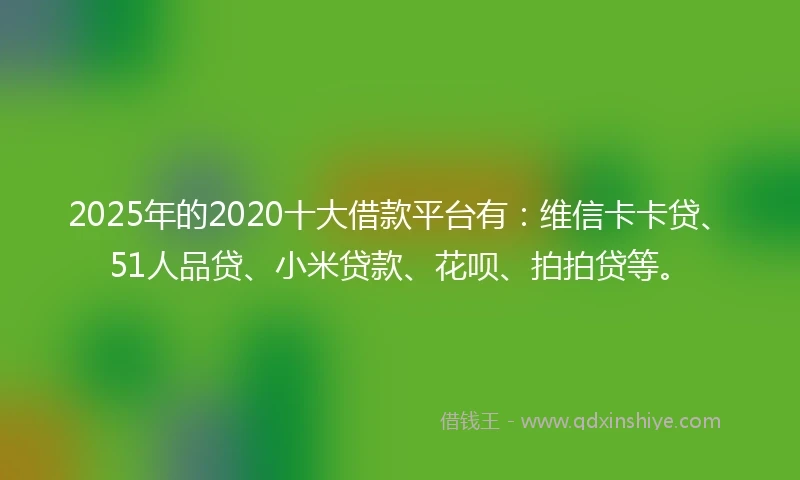 2025年的2020十大借款平台有：维信卡卡贷、51人品贷、小米贷款、花呗、拍拍贷等。