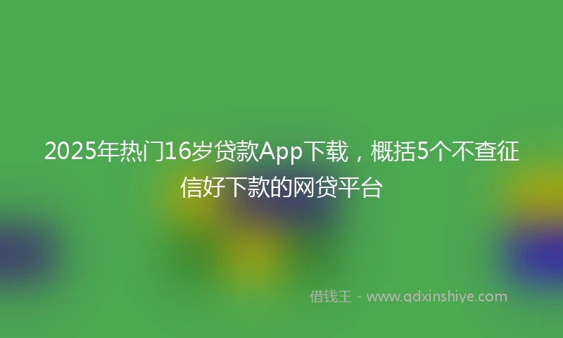 2025年热门16岁贷款App下载，概括5个不查征信好下款的网贷平台