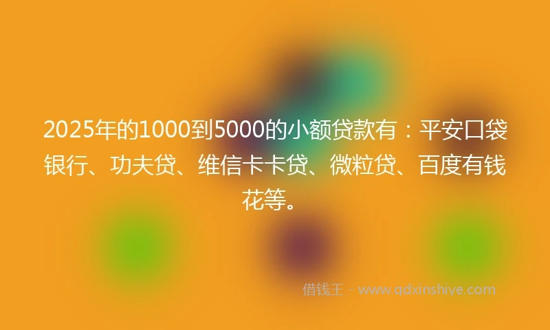 2025年的1000到5000的小额贷款有：平安口袋银行、功夫贷、维信卡卡贷、微粒贷、百度有钱花等。