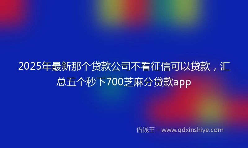 2025年最新那个贷款公司不看征信可以贷款，汇总五个秒下700芝麻分贷款app
