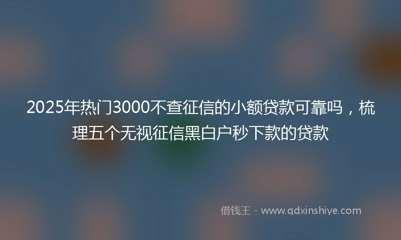 2025年热门3000不查征信的小额贷款可靠吗，梳理五个无视征信黑白户秒下款的贷款