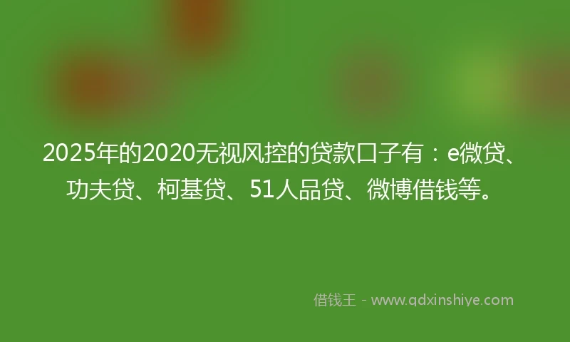 2025年的2020无视风控的贷款口子有：e微贷、功夫贷、柯基贷、51人品贷、微博借钱等。
