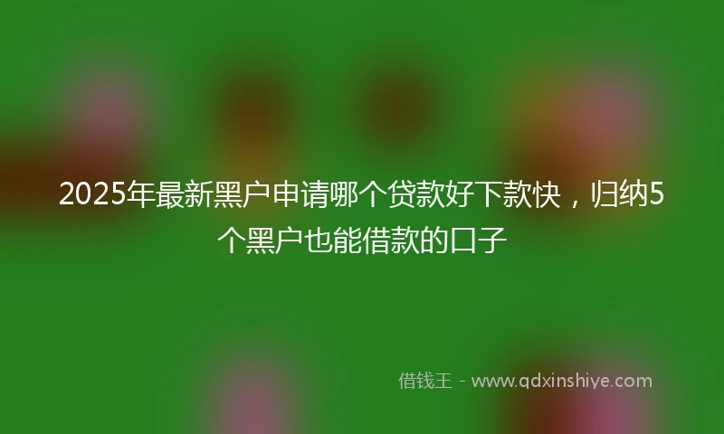 2025年最新黑户申请哪个贷款好下款快，归纳5个黑户也能借款的口子