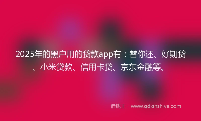 2025年的黑户用的贷款app有：替你还、好期贷、小米贷款、信用卡贷、京东金融等。