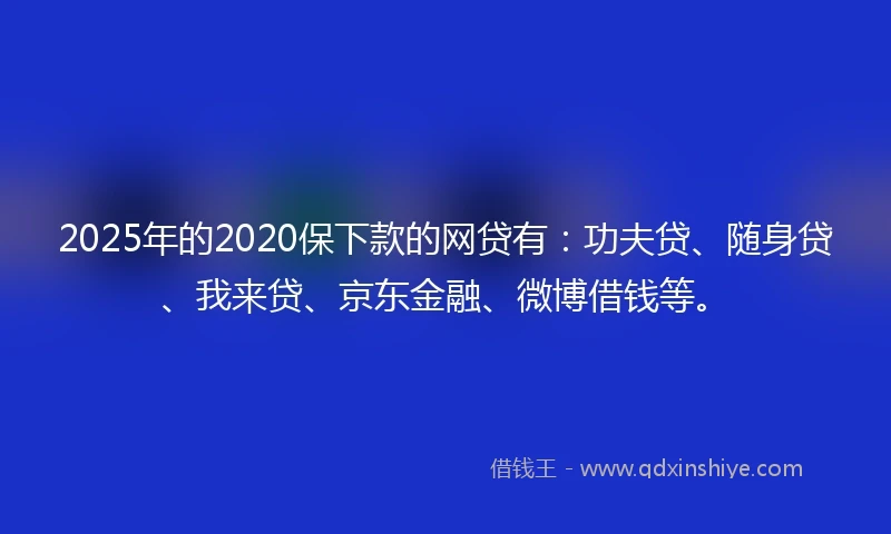 2025年的2020保下款的网贷有：功夫贷、随身贷、我来贷、京东金融、微博借钱等。