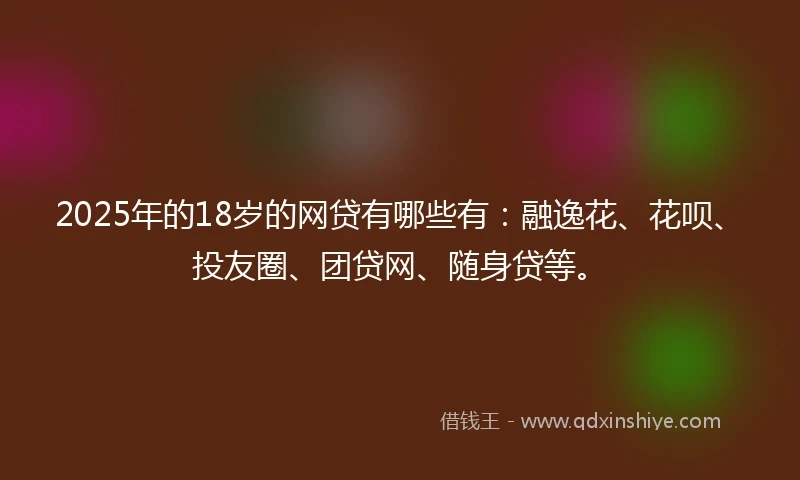 2025年的18岁的网贷有哪些有：融逸花、花呗、投友圈、团贷网、随身贷等。