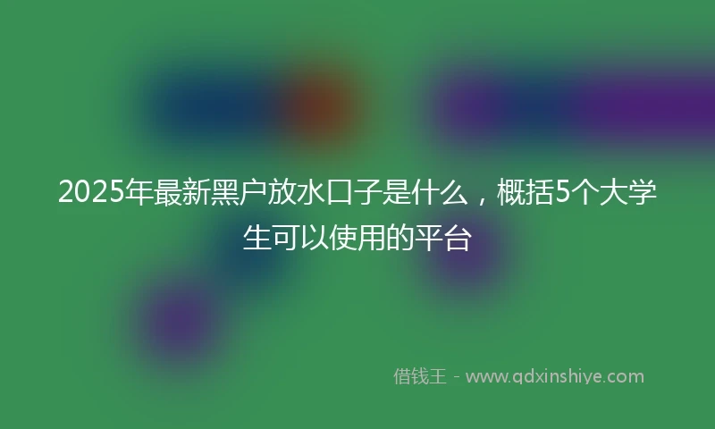 2025年最新黑户放水口子是什么，概括5个大学生可以使用的平台