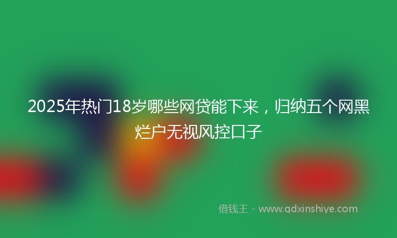 2025年热门18岁哪些网贷能下来，归纳五个网黑烂户无视风控口子