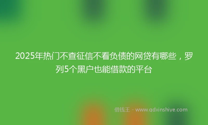 2025年热门不查征信不看负债的网贷有哪些，罗列5个黑户也能借款的平台