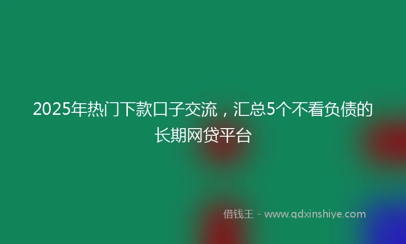 2025年热门下款口子交流，汇总5个不看负债的长期网贷平台