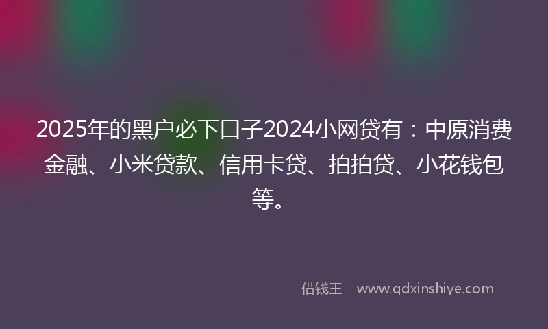 2025年的黑户必下口子2024小网贷有：中原消费金融、小米贷款、信用卡贷、拍拍贷、小花钱包等。