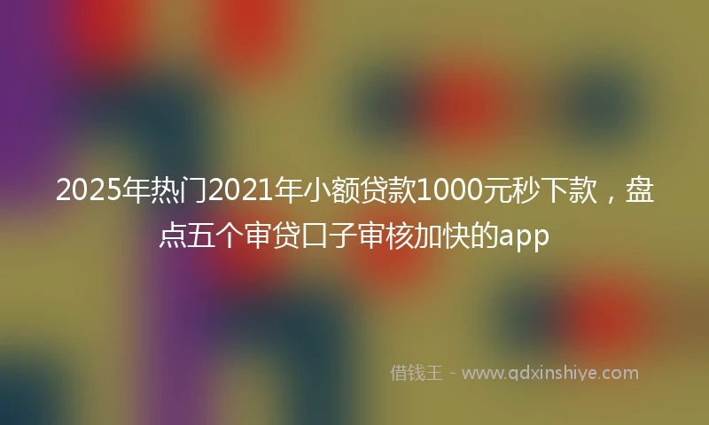 2025年热门2021年小额贷款1000元秒下款，盘点五个审贷口子审核加快的app