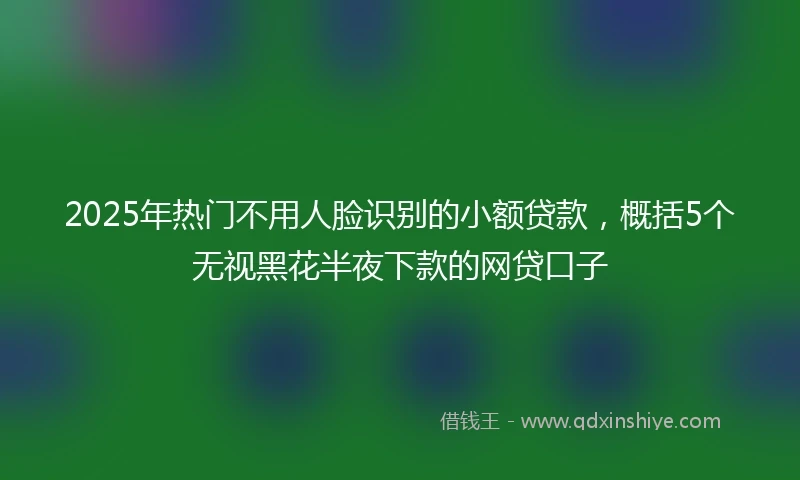 2025年热门不用人脸识别的小额贷款，概括5个无视黑花半夜下款的网贷口子