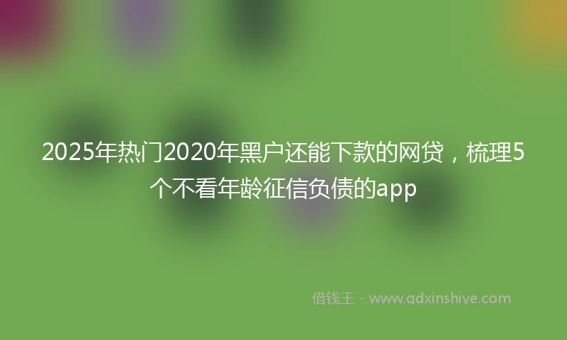 2025年热门2020年黑户还能下款的网贷，梳理5个不看年龄征信负债的app