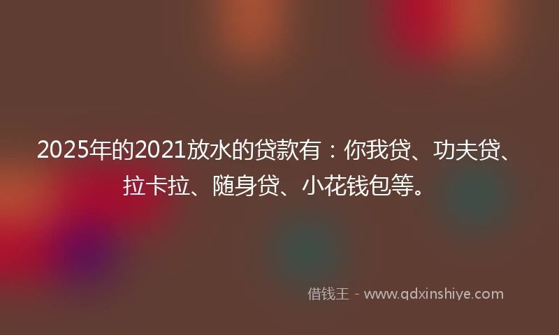 2025年的2021放水的贷款有：你我贷、功夫贷、拉卡拉、随身贷、小花钱包等。