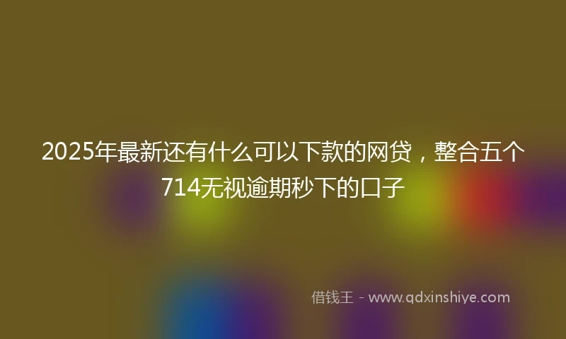 2025年最新还有什么可以下款的网贷，整合五个714无视逾期秒下的口子
