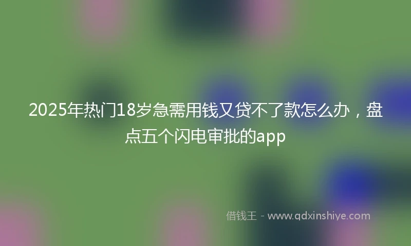 2025年热门18岁急需用钱又贷不了款怎么办，盘点五个闪电审批的app