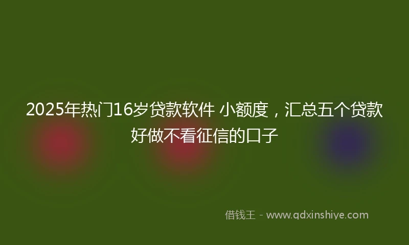 2025年热门16岁贷款软件 小额度，汇总五个贷款好做不看征信的口子