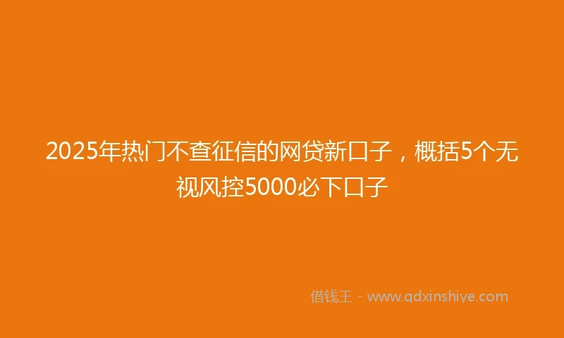 2025年热门不查征信的网贷新口子，概括5个无视风控5000必下口子
