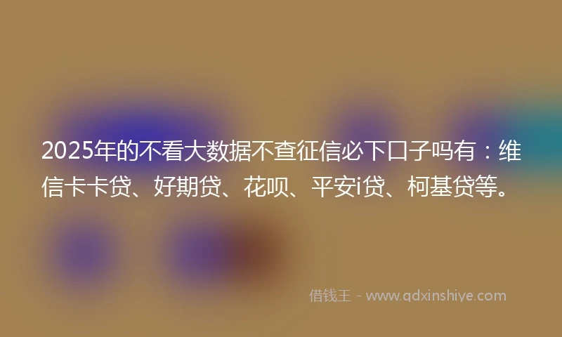 2025年的不看大数据不查征信必下口子吗有：维信卡卡贷、好期贷、花呗、平安i贷、柯基贷等。