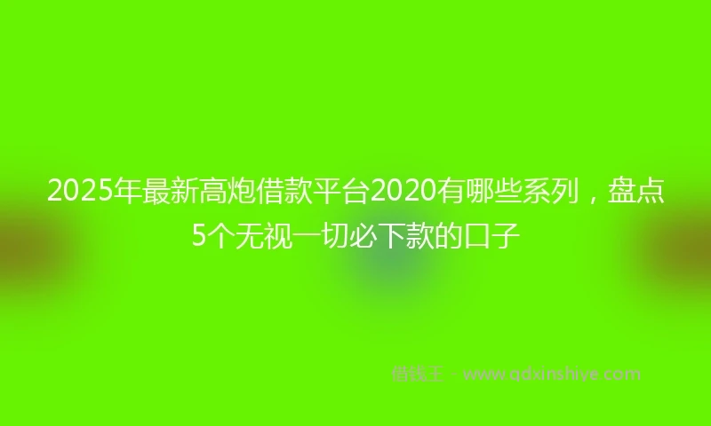 2025年最新高炮借款平台2020有哪些系列，盘点5个无视一切必下款的口子