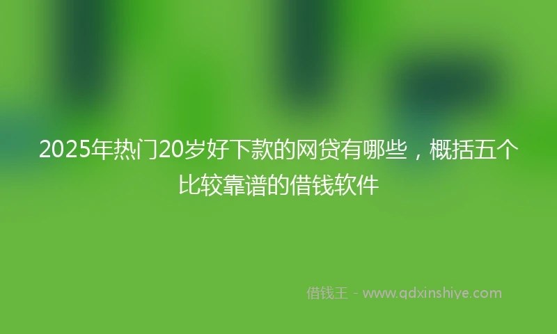 2025年热门20岁好下款的网贷有哪些，概括五个比较靠谱的借钱软件