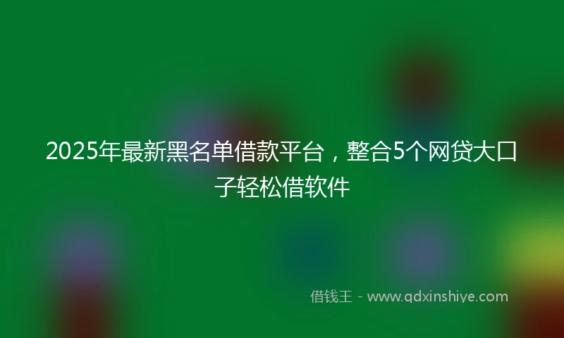 2025年最新黑名单借款平台，整合5个网贷大口子轻松借软件