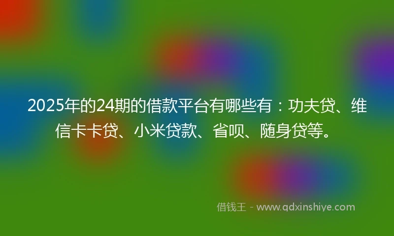2025年的24期的借款平台有哪些有：功夫贷、维信卡卡贷、小米贷款、省呗、随身贷等。
