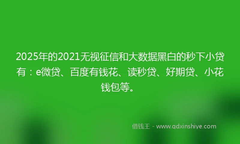 2025年的2021无视征信和大数据黑白的秒下小贷有：e微贷、百度有钱花、读秒贷、好期贷、小花钱包等。